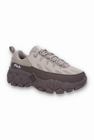 Grey / Brown Fila Raid Women Trainers | 5827ECSXF