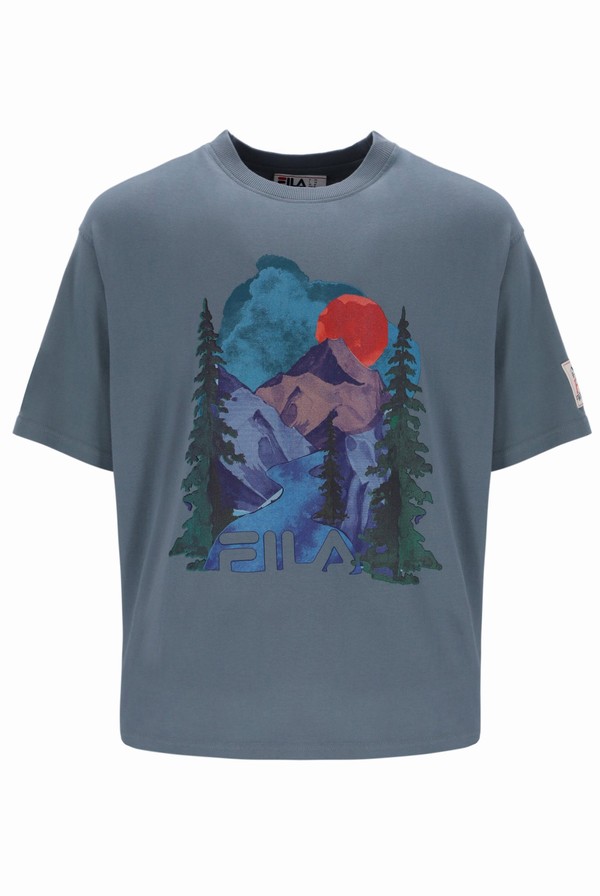 Grey Fila Davey Graphic Men T-shirts | 3285JLOMC