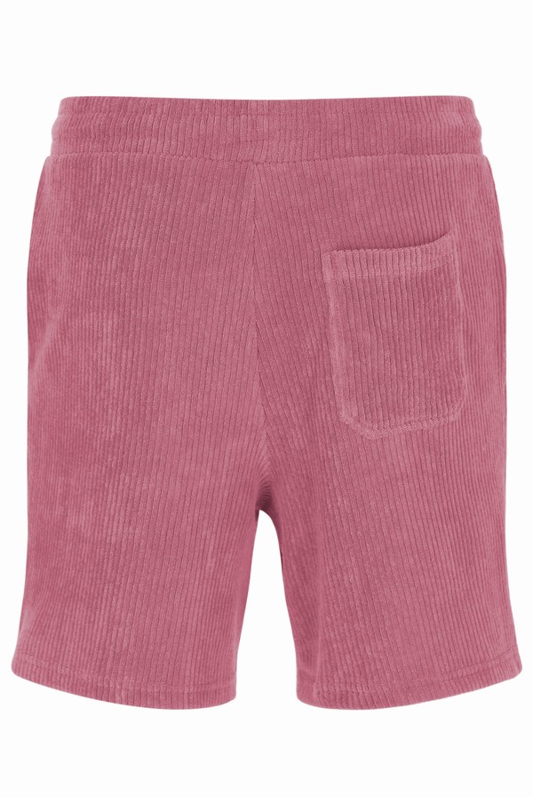 Pink Fila Ronan Terry Needle Men Shorts | 4802XASPG